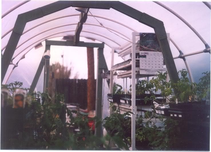 Building ones own greenhouse - Homesteading Questions