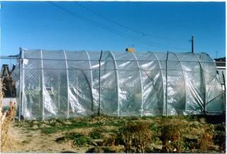 Building ones own greenhouse - Homesteading Questions