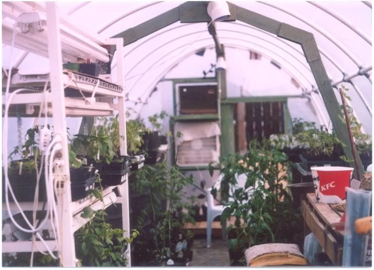 Building ones own greenhouse - Homesteading Questions