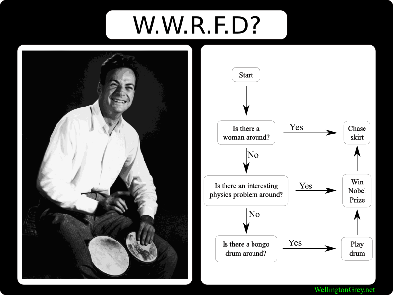what would Richard Feynman do?