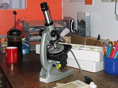 microscope