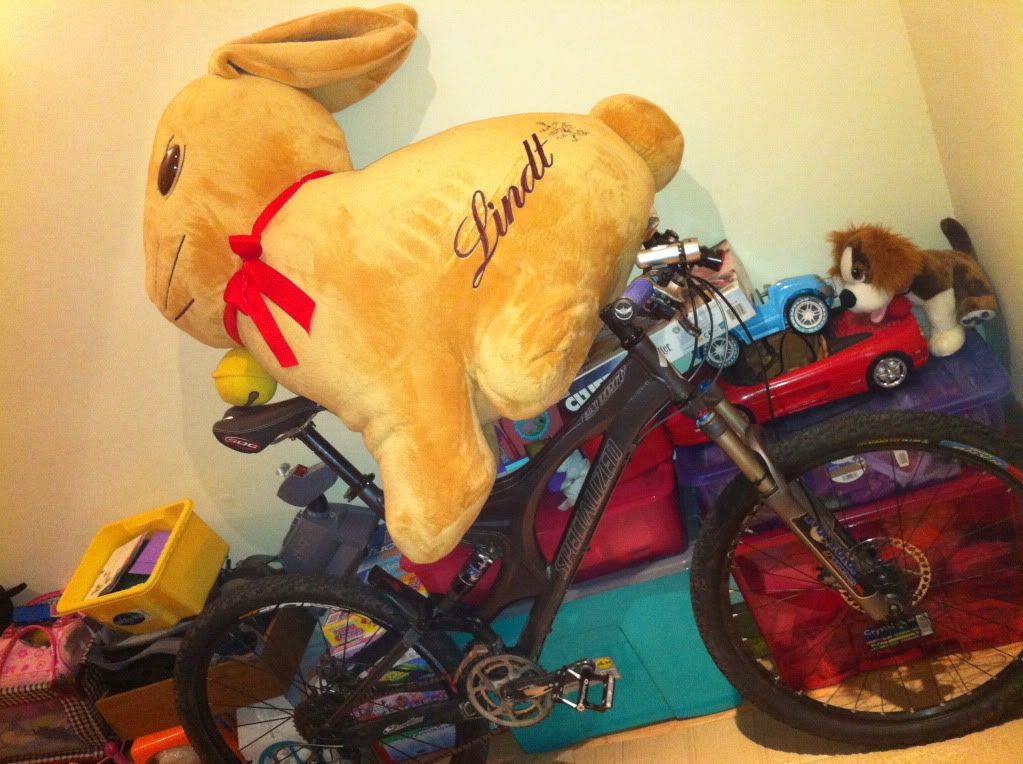 giant lindt bunny soft toy