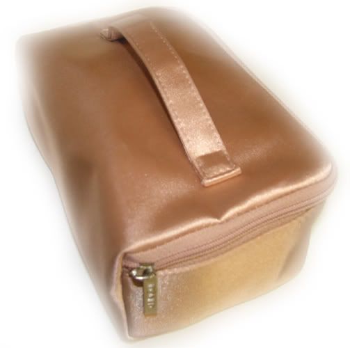 estee lauder makeup bag. 1x Clinique travel cosmetic