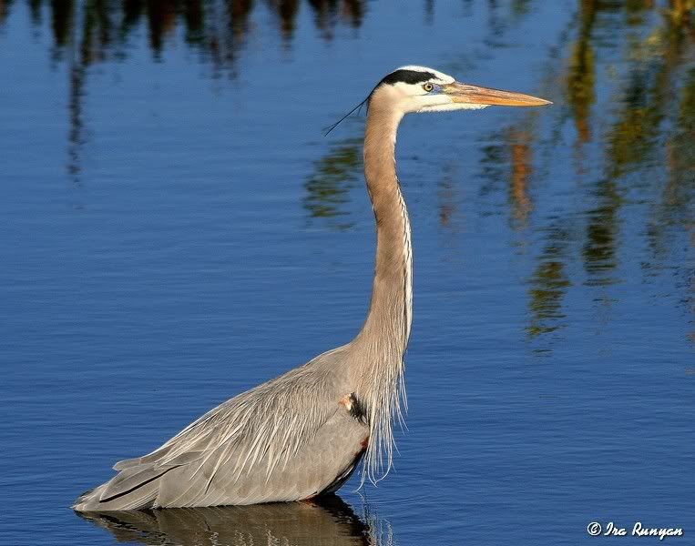 GBH_2873.jpg