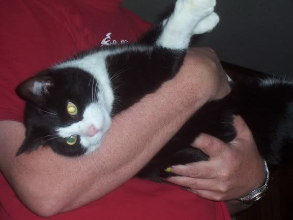 so who has totally worthless (to the homestead) pets? - Homesteading Questions