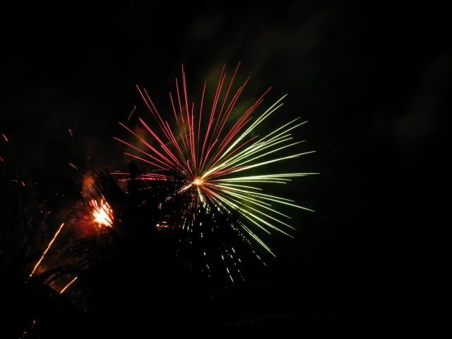 [Image: Fireworks_1.jpg]