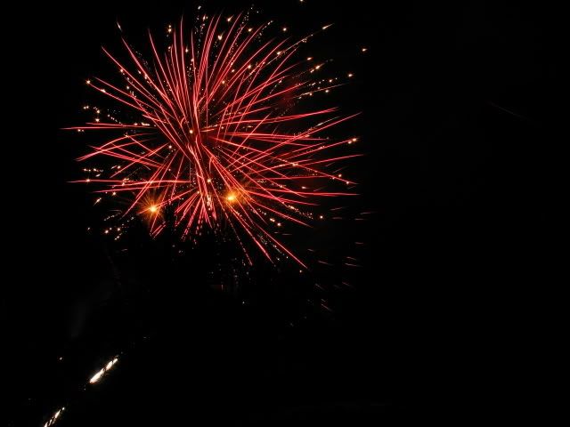 [Image: Fireworks_2.jpg]