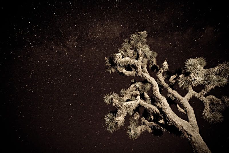 IMAGE: http://img.photobucket.com/albums/0903/Surfungus/JT1.jpg