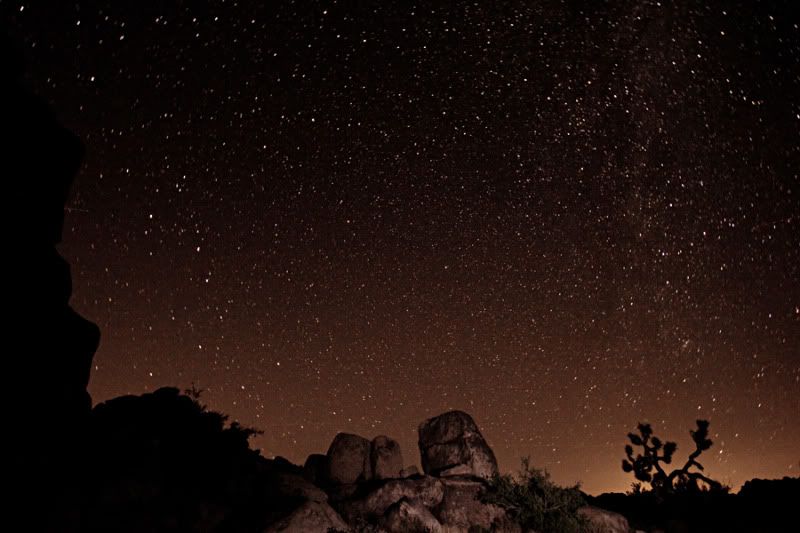 IMAGE: http://img.photobucket.com/albums/0903/Surfungus/JT5.jpg