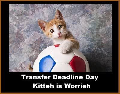 transferkitteh.jpg