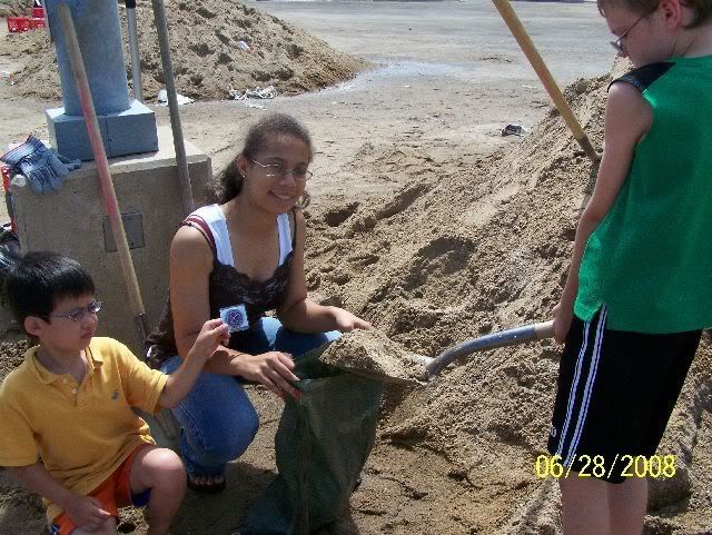 sandbagging2008.jpg