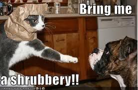 Montypythoncat.jpg