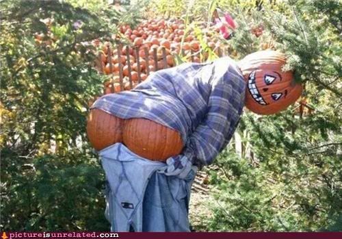 wtf-photos-videos-same-to-you-pumpkin-butt.jpg