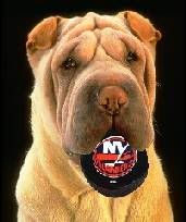 islanders-dog.jpg