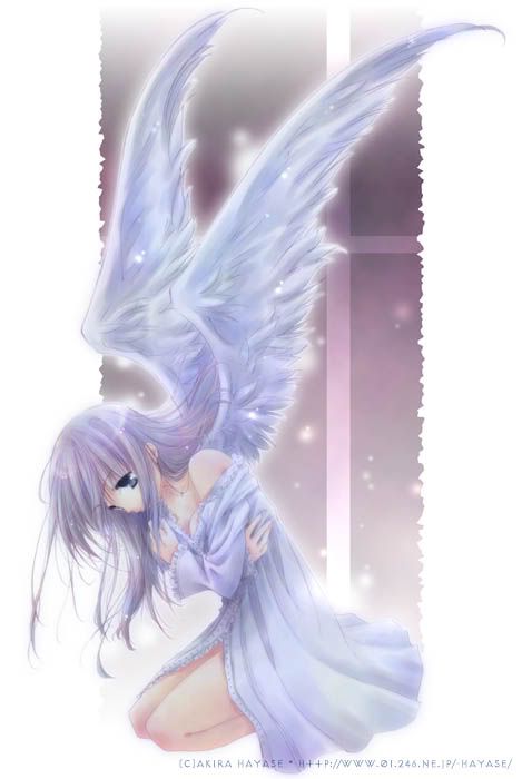 Forum Image: http://img.photobucket.com/albums/1003/Kalistean/AnimeManga/silver_angel.jpg