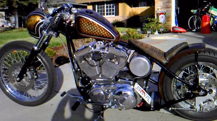 harley t sport