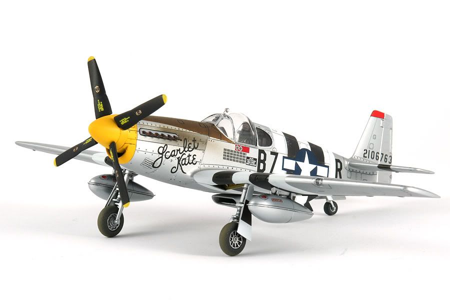 P51B_SK_02.jpg