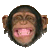 laughing monkey photo: Laughing Monkey MonkeySmiley4.gif
