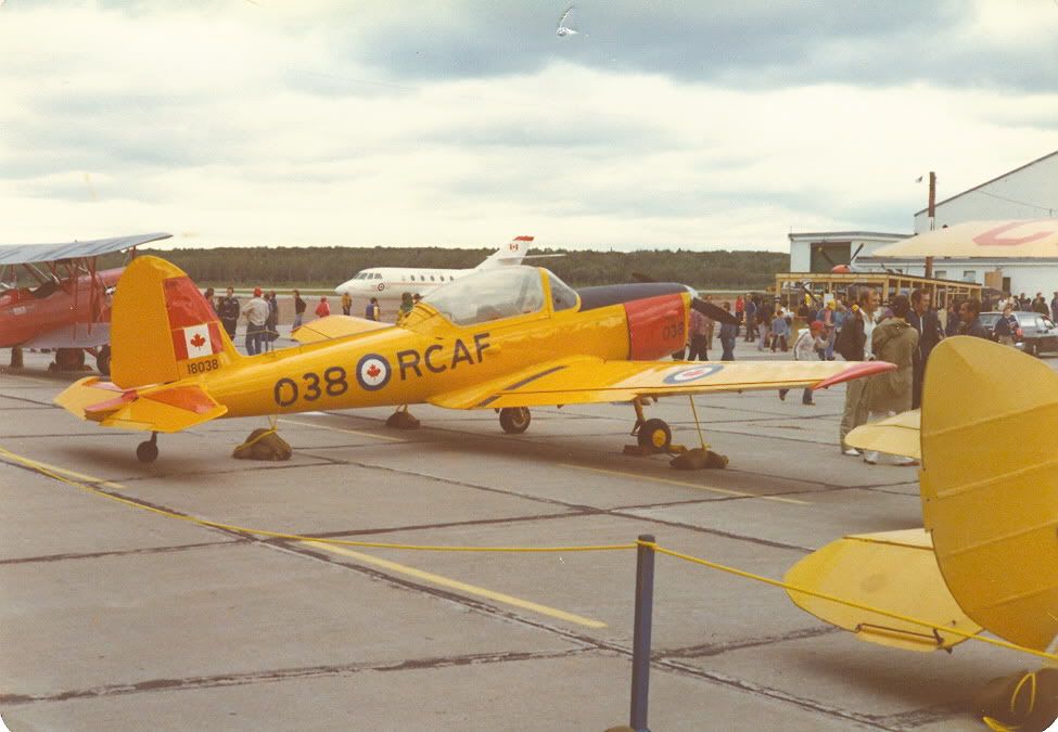 chipmunk-77-NorthBay.jpg