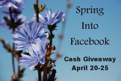 Spring Into Cash Facebook