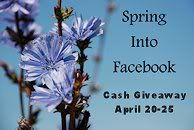 Spring Into Facebook Cash Giveaway