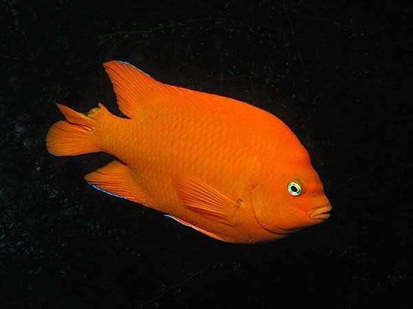 IMG_4150.jpg