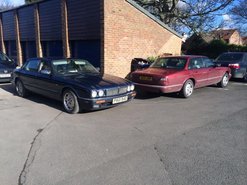 2BB02F3F-E5EA-477B-952D-088A37A7B60B_zps