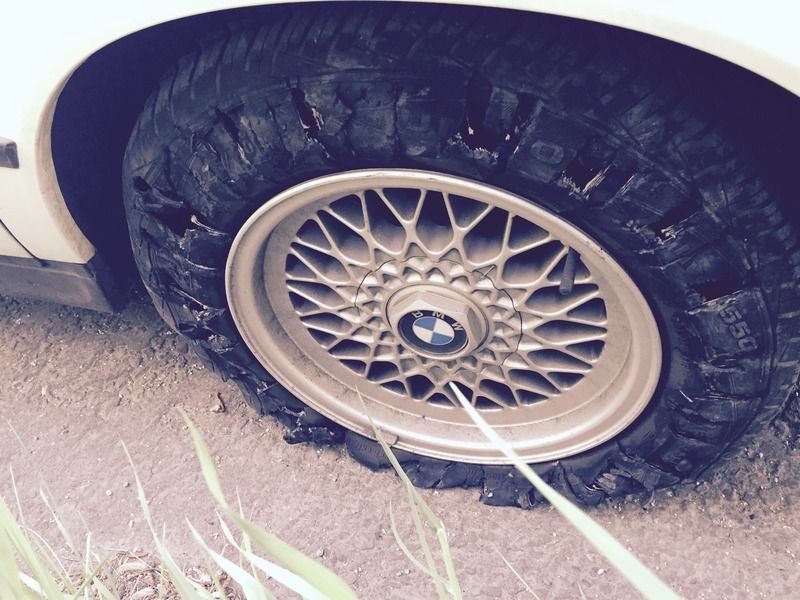 5BA9B916-5F1F-41EC-92B8-3F77C94AE88B_zps