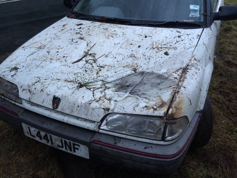 99B44497-DF9E-482E-9D46-516AD7DA3C73_zps