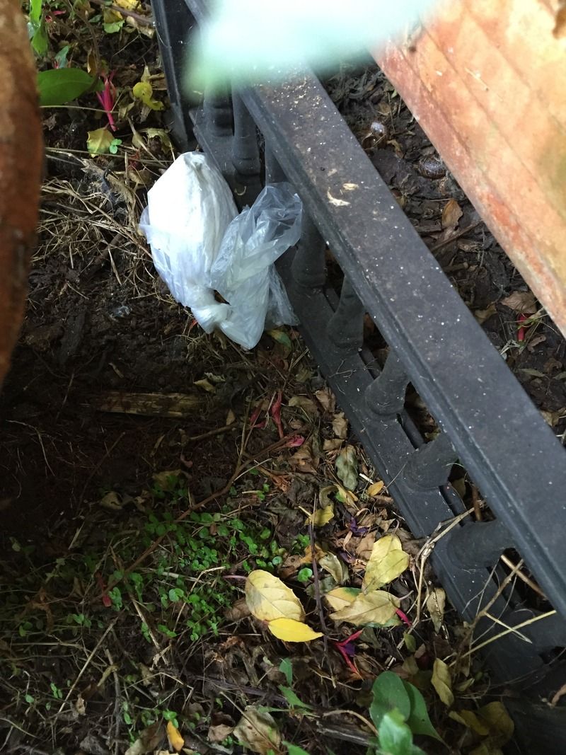 E4297FA0-2D64-40D5-BF75-98D188244095_zps