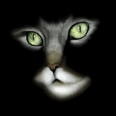 black cat eyes. cat eyes. img.photobucket.com
