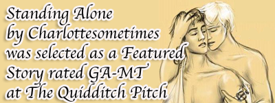 Quidditch Pitch Story of the Month Standing Alone