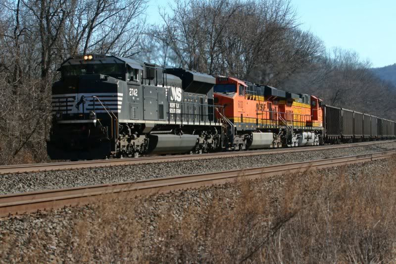 IMAGE: http://img.photobucket.com/albums/1003/volzj/cove01.jpg