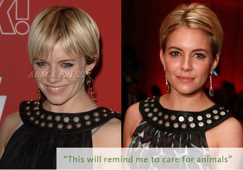 Sienna Miller wearing the same dog collar with two different dresses with the caption this will remind me to care for animals