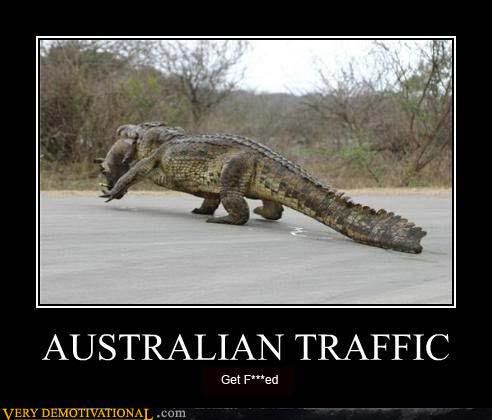 demotivational-posters-australian-traffic.jpg