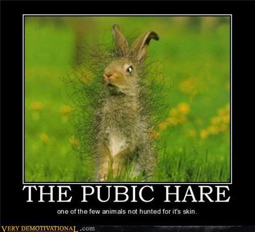 demotivational-posters-pubic-hare.jpg