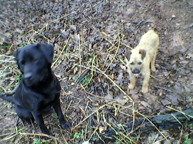 Photo-0118.jpg