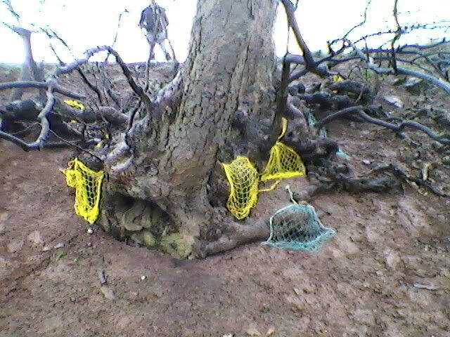 Photo-0119.jpg