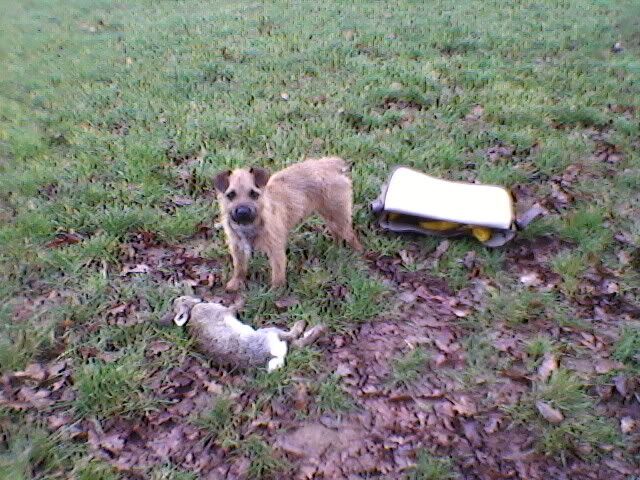 Photo-0122.jpg