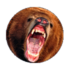 bear1.png