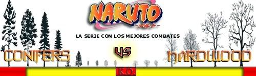 Imagen enviada