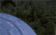 entdcrash.gif