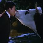 harryromance.jpg