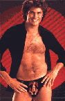 hasselhoff53282ak.gif