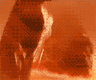 hotav.gif