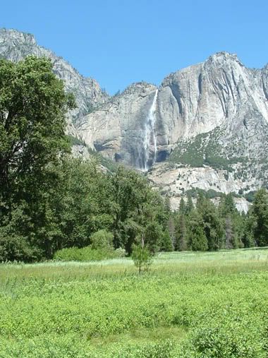 yosemite falls caught from a lush and beautiful meadow