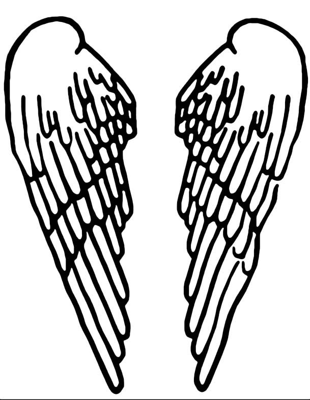 Re Seraph angel wings shirt Reply 7 on February 22 2005 101645 AM 