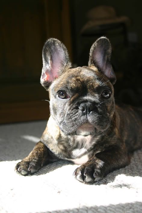 tucker