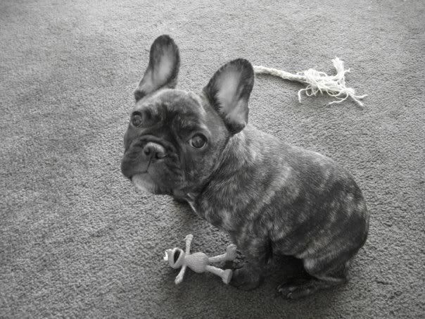 tucker