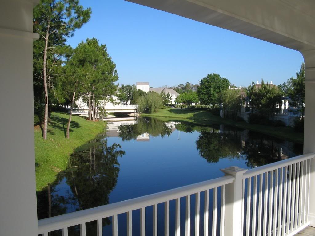 IMAGE: http://img.photobucket.com/albums/v103/daphatty/HoneymoonDisneyworld2004-260.jpg